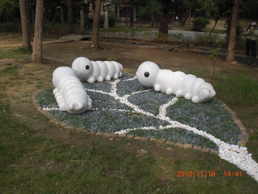 2011高雄金獅湖蝴蝶園的第3張圖片