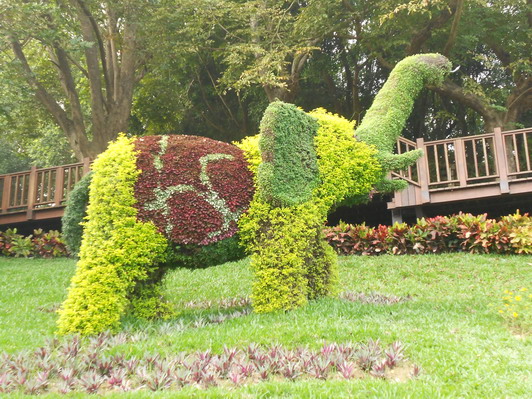 2012壽山動物園(綠雕)大象的第2張圖片