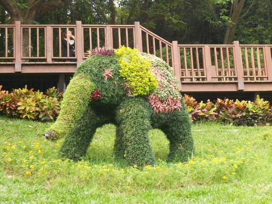 2012壽山動物園(綠雕)大象的第3張圖片