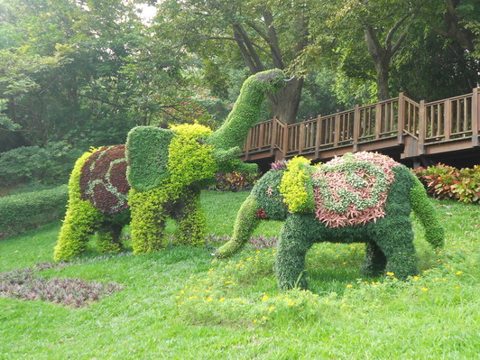 2012壽山動物園(綠雕)大象的第4張圖片