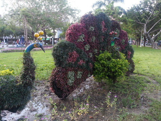 2013精華公園(綠雕)孔雀的第2張圖片